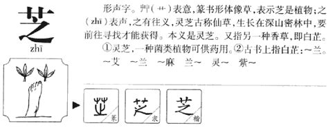 芝幾劃|芝的字源字形